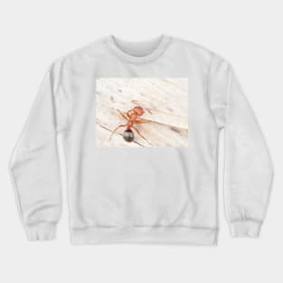 Tiny red-black ant, probably Formica aserva Crewneck Sweatshirt